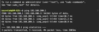 Ping verification