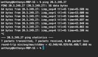 terminal ping success screenshot